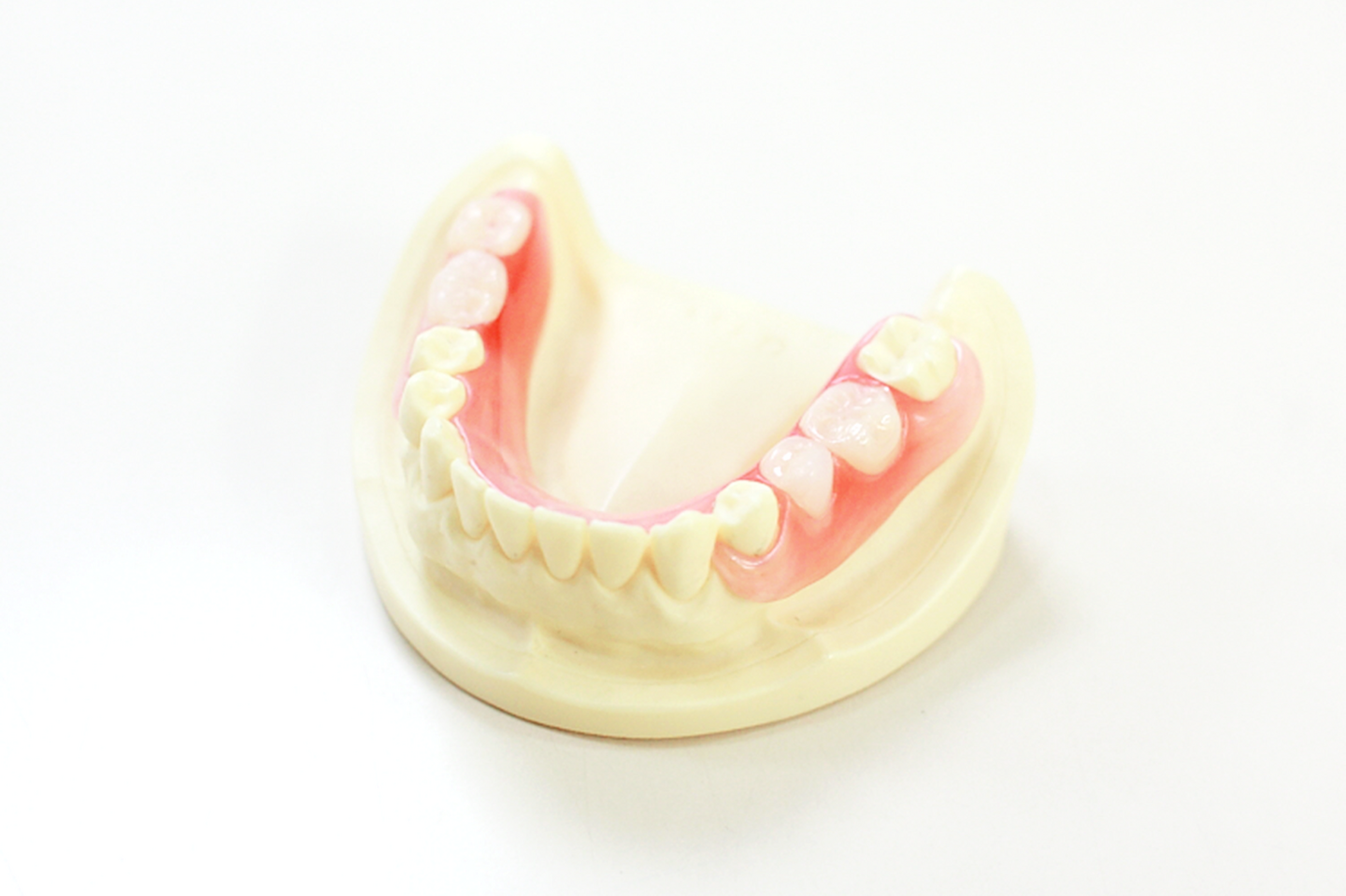 スマイルデンチャー