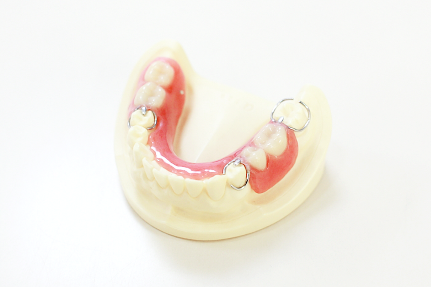 保険の入れ歯